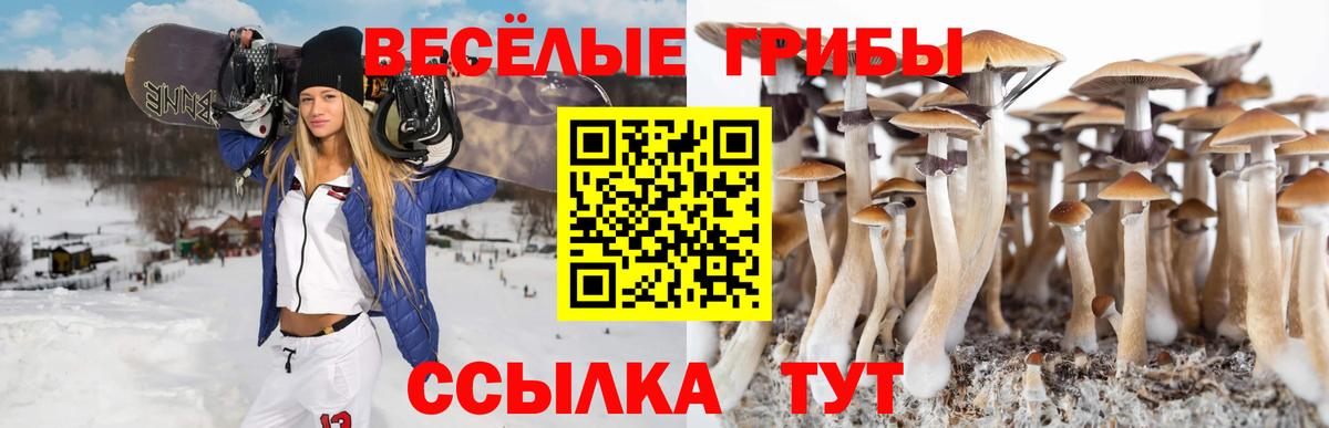 Сатка  Псилоцибиновые грибы GOLDEN TEACHER  Вход с VPN 